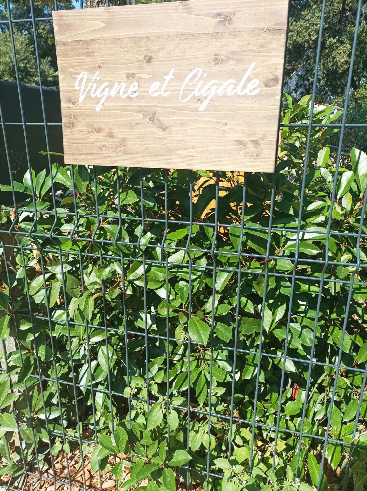 Ferienwohnung Vigne Et Cigale Le Thoronet Exterior foto